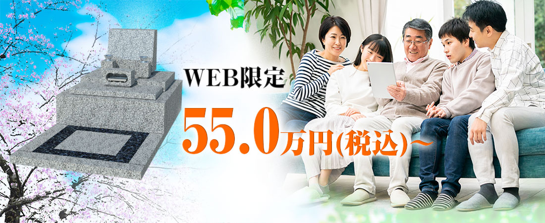 WEB限定55万円